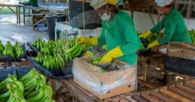 Exclusión de Rusia de la red bancaria alerta a exportadores de fruta colombianos