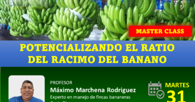 Webinar en vivo: Potencializando el ratio del racimo del banano 