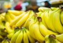 Cayeron exportaciones de banano orgánico a Estados Unidos