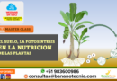 Webinar en vivo: El suelo, la fotosíntesis en la nutrición de las plantas