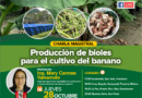 Webinar en vivo: Producción de bioles en el cultivo del banano