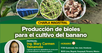 Webinar en vivo: Producción de bioles en el cultivo del banano
