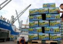 Cierre de puerto en Ucrania afecta a 2,5 millones de cajas de banano ecuatoriano