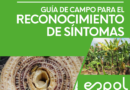 Guía de campo para el reconocimiento de síntomas de Fusariosis del banano raza 4 tropical