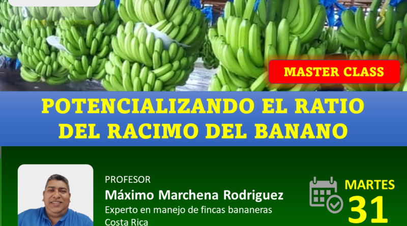 Webinar en vivo: Potencializando el ratio del racimo del banano 