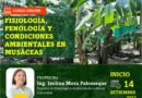 Curso online: Fisiología, fenología y condiciones ambientales en Musáceas