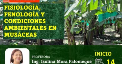 Curso online: Fisiología, fenología y condiciones ambientales en Musáceas